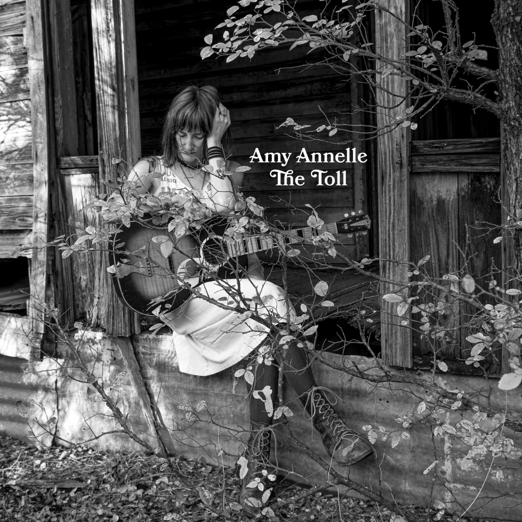 Album Art for The Toll By Amy Annelle